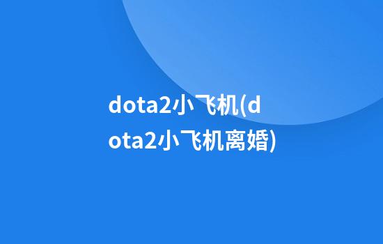 dota2小飞机(dota2小飞机离婚)