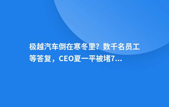 极越汽车倒在寒冬里？数千名员工等答复，CEO夏一平被堵72小时