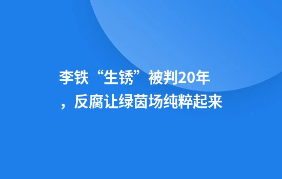 李铁“生锈”被判20年，反腐让绿茵场纯粹起来