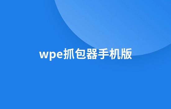 wpe抓包器手机版