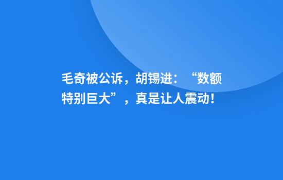 毛奇被公诉，胡锡进：“数额特别巨大”，真是让人震动！