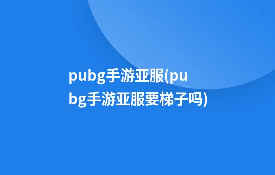 pubg手游亚服(pubg手游亚服要梯子吗)