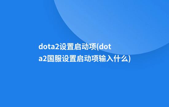 dota2设置启动项(dota2国服设置启动项输入什么)