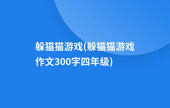 躲猫猫游戏(躲猫猫游戏作文300字四年级)